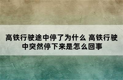 高铁行驶途中停了为什么 高铁行驶中突然停下来是怎么回事